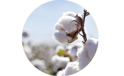 劉潭服裝廠：新生兒衣服選哪種材質好？